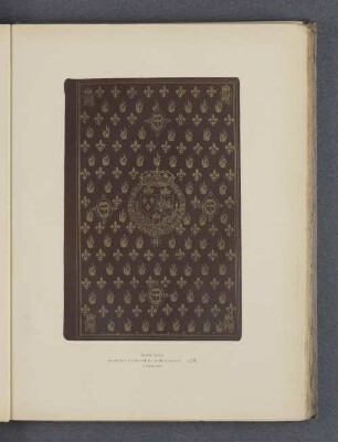 Plate XXXV.