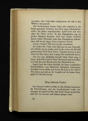 Eine lebende Fackel