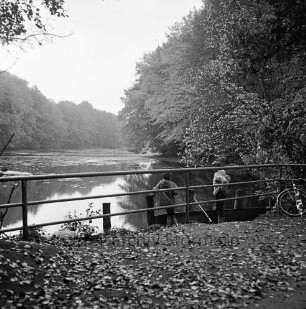 Kupfermühle: Kupfermühlenteich: im Vordergrund abgefallene Blätter: rechts Fahrrad: vorn Geländer: rechts dahinter zwei Jungen mit Angel: hinten Wald