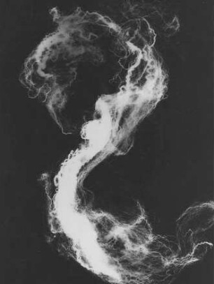 Fotogramm. 46,6 x 35,4 cm (Blattgröße), 23 x 17,3 cm (Bildgröße). 1962
