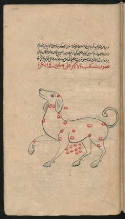 Illustration: Sternbild des großen Hundes