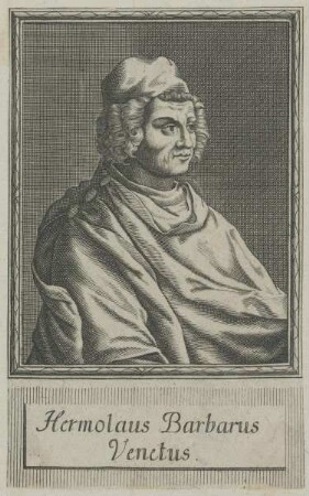 Bildnis des Hermolaus Barbarus