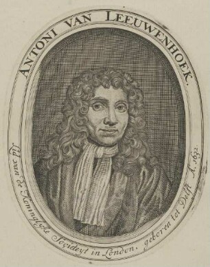 Bildnis des Antoni van Leeuwenhoek