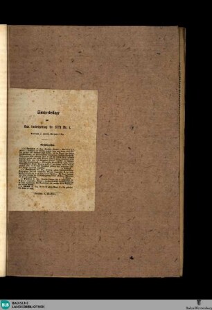 Badische Landes-Zeitung, Sonderbeilage