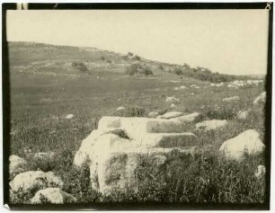 sar'a [Altar, Sara]