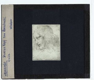 da Vinci, Philippuskopf