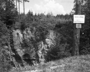 Muldenhammer-Tannenbergsthal-Gottesberg. Ehemaliger Bergbaustandort der SDAG Wismut. Pinge (bei den Bergbauhäusern)