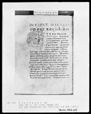 Bibliorum sacrorum pars, Regum libri 4 — Initiale E(T REX DAVID), Folio 94verso