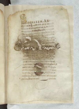 Arcanum de multiplicatione, deutsch