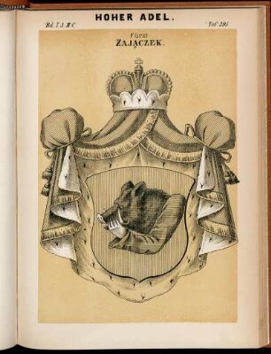 Taf. 395. Fürst Zajaczek.