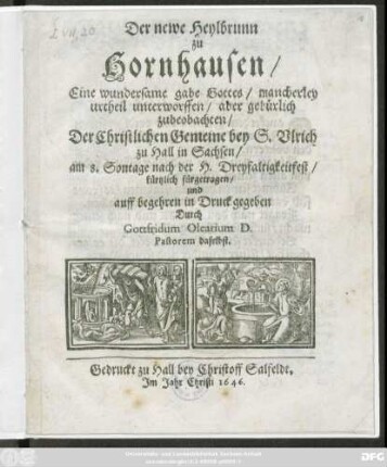 Der newe Heylbrunn zu Hornhausen/ Eine wundersame gabe Gottes/ mancherley urtheil unterworffen/ aber gebürlich zubeobachten : Der Christlichen Gemeine bey S. Ulrich zu Hall in Sachsen/ am 8. Sontage nach der H. Dreyfaltigkeitfest/ kürtzlich fürgetragen ...