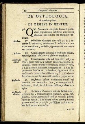 De Ossibus In Genere.