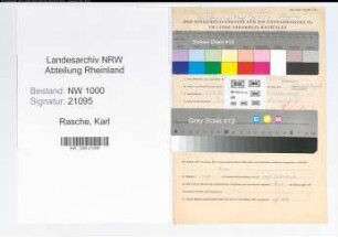 Entnazifizierung Karl Rasche, geb. 23.08.1892 (Bankdirektor)