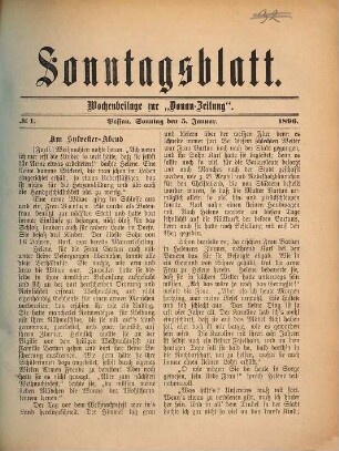 Donau-Zeitung. Sonntagsblatt. 1896