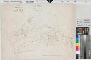 Langscheid (Sundern), Teilung der Linner Mark, Bl.2 Brouillonkarte Rohnscheid