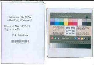 Entnazifizierung Friedrich Fell , geb. 02.06.1902 (Buchhalter)