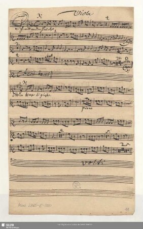 Viola [transp.]