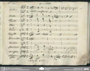 Quartetto: "Io vi vedo e non vi vedo"