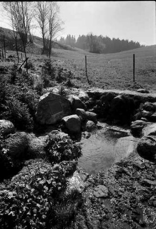 Der Donauursprung (Bregquelle) an der Martinskapelle bei Furtwangen