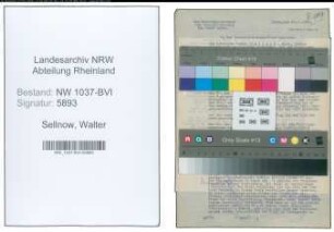 Entnazifizierung Walter Sellnow , geb. 02.03.1906 (Arbeiter)