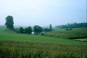 Landschaft mit Feldern und Teichen