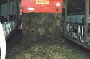 Fotografie: Ladewagen, Futtervorlage, Milchviehhaltung, Liegeboxenlaufstall