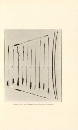 Plate XLII. Bows and arrows used by Negritos of Zambales