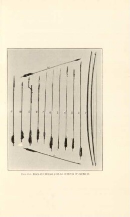 Plate XLII. Bows and arrows used by Negritos of Zambales