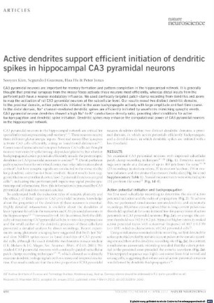 Active dendrites support efficient initiation of dendritic spikes in hippocampal CA3 pyramidal neurons