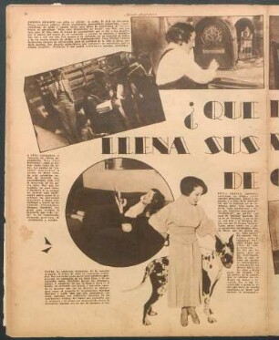 ¿Qué diversión llena sus momentos de ocio? [Fotografía]