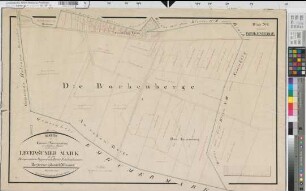 Seppenrade (Lüdinghausen), Teilung der Leversumer Mark, Brouillonkarte Bl.1 Borkenberge
