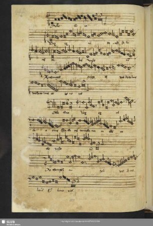 [Anon.:] Alleluia vox
