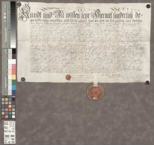 Eich: Kaufbrief über das von Jacobine Catharine Zwenglin geb. Dieterici an das St. Paulsstift zu Worms verkaufte Haus, Scheuer, Stallungen zu Eich...