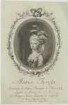 Bildnis der Maria Teresa, Arciduchessa d'Austria, Principessa di Toscana