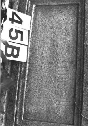 Grabstein 45 (Index: 100114480) Material: Kalkstein Zustand: verwittert mit Textverlust Maße HxBxT: 180x58x29 cm Beschreibung: Stele, Sockel, Rundbogenabschluß mit Mittelakroter auf Voluten, deutsches Schriftfeld rechteckig Symbolik: Palmette und Voluten: Grabstein 45B