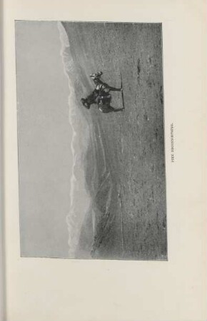 Pike reconnoitring