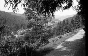 Blick vom Höhenweg Titisee-Feldberg in das Bärental und auf den Titisee