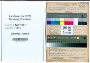 Entnazifizierung Aenne Doerner , geb. 05.11.1893 (Buchhalterin)