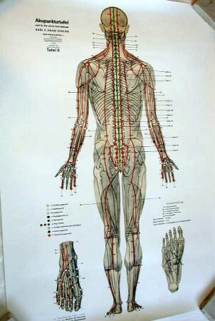 Lehrtafel (Akupunktur)