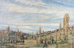 Vorfrühling am Bodensee, Gaienhofen