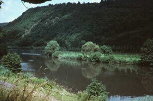 Uferbepflanzung: Stausee Mettlach/Saar