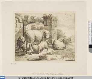 Schafe und trinkendes Lamm