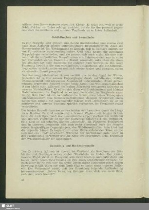 Zaunkönig und Heckenbraunelle