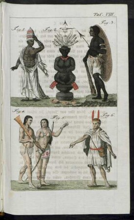 Taf. VIII. Fig. 1. - Fig. 6.
