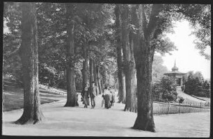 Freiberg. Im Albertpark