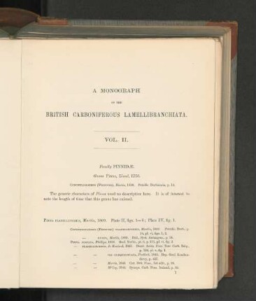 Genus Pinna, Linné, 1758.