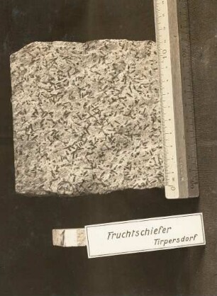 Fruchtschiefer aus Tirpersdorf. Leipzig: Geologisches Landesamt