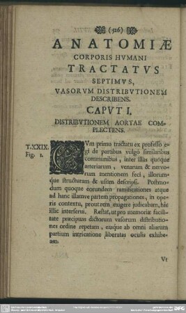 Anatomiae Corporis Humani Tractatus Septimus, Vasorum Distributionem Describens
