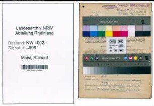 Entnazifizierung Richard Moihsl, geb. 17.07.1905 (Arbeiter)