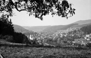 Blick auf den Ort Lenzkirch